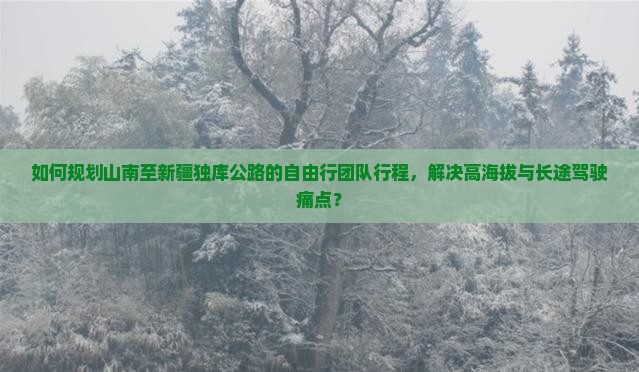 如何规划山南至新疆独库公路的自由行团队行程，解决高海拔与长途驾驶痛点？
