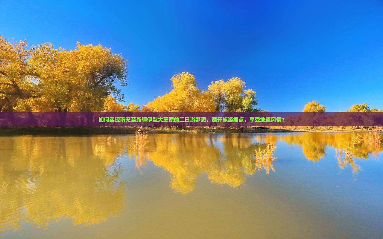 如何实现南充至新疆伊犁大草原的二日游梦想，避开旅游痛点，享受地道风情？
