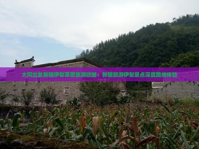 大同出发新疆伊犁草原旅游攻略：新疆旅游伊犁景点深度路线体验