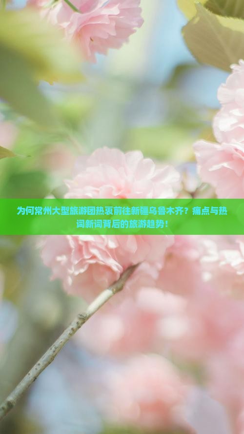 为何常州大型旅游团热衷前往新疆乌鲁木齐？痛点与热词新词背后的旅游趋势！