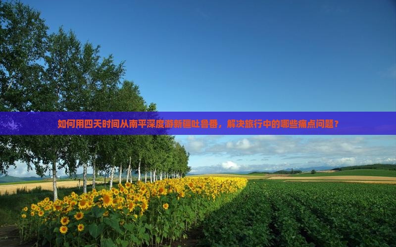如何用四天时间从南平深度游新疆吐鲁番，解决旅行中的哪些痛点问题？