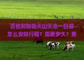 百色到新疆天山天池一日游怎么安排行程？需要多久？费用大概是多少？