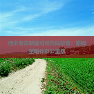 佳木斯去新疆可可托海攻略：路线至喀什及公里数