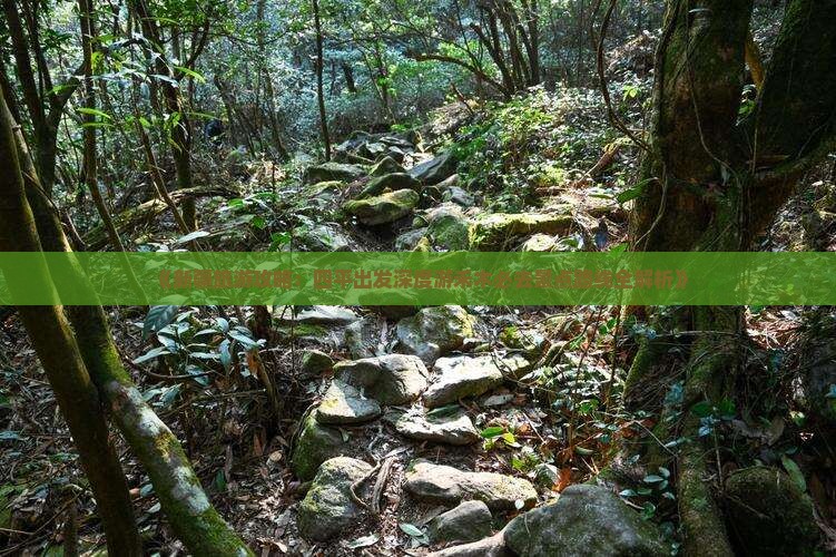《新疆旅游攻略：四平出发深度游禾木必去景点路线全解析》