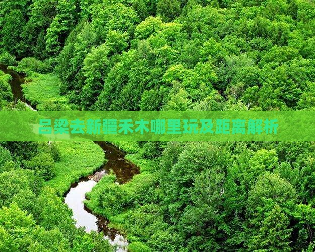 吕梁去新疆禾木哪里玩及距离解析