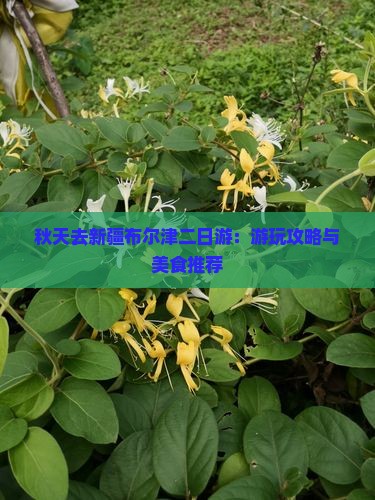 秋天去新疆布尔津二日游：游玩攻略与美食推荐