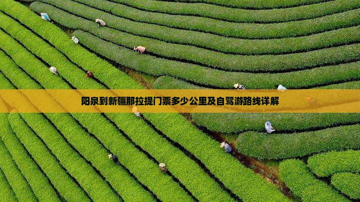 阳泉到新疆那拉提门票多少公里及自驾游路线详解