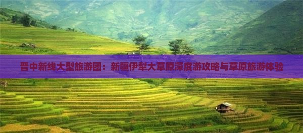 晋中新线大型旅游团：新疆伊犁大草原深度游攻略与草原旅游体验