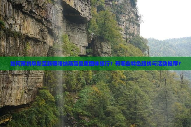如何策划阜新至新疆喀纳斯高品质团体旅行？有哪些特色路线与活动推荐？