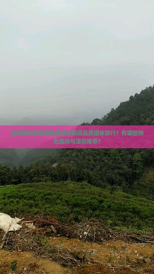 如何策划阜新至新疆喀纳斯高品质团体旅行？有哪些特色路线与活动推荐？