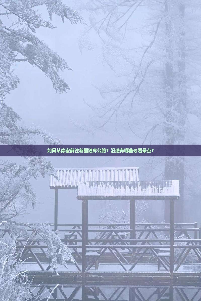 如何从德宏前往新疆独库公路？沿途有哪些必看景点？