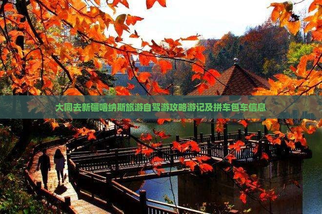 大同去新疆喀纳斯旅游自驾游攻略游记及拼车包车信息