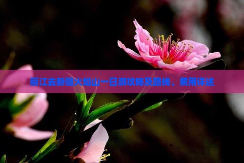 丽江去新疆火焰山一日游攻略及路线、费用详述