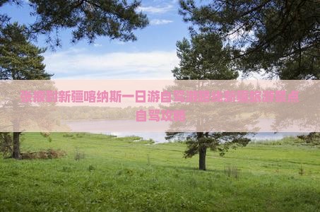 张掖到新疆喀纳斯一日游自驾游路线新疆旅游景点自驾攻略