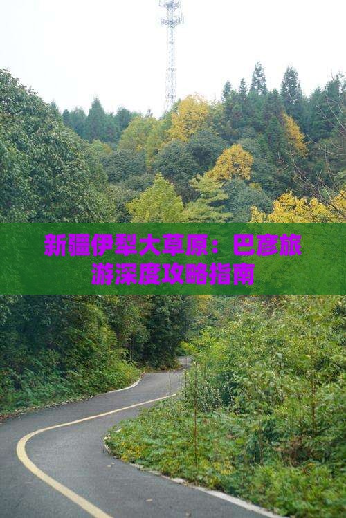 新疆伊犁大草原：巴彦旅游深度攻略指南