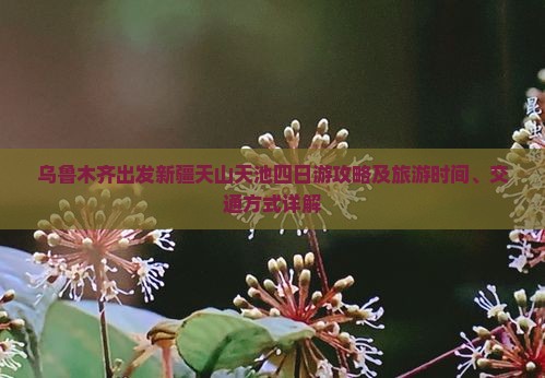乌鲁木齐出发新疆天山天池四日游攻略及旅游时间、交通方式详解