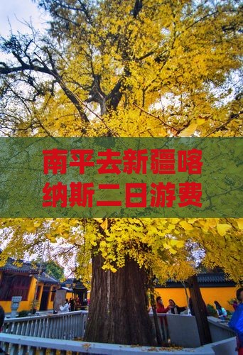 南平去新疆喀纳斯二日游费用攻略及路线推荐