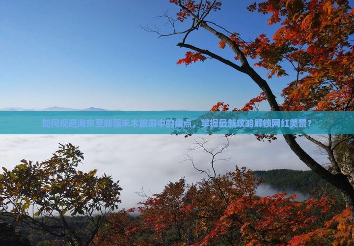 如何规避海东至新疆禾木旅游中的痛点，掌握最新攻略解锁网红美景？