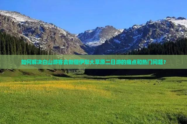 如何解决白山游客去新疆伊犁大草原二日游的痛点和热门问题？