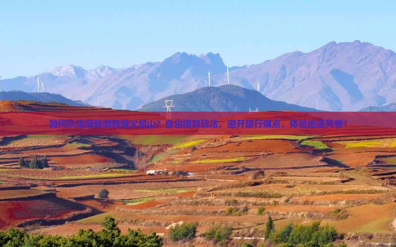 如何从洛阳畅游新疆火焰山？自由团新玩法，避开旅行痛点，体验地道风情！