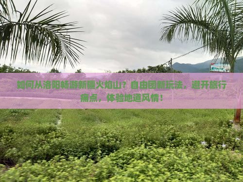 如何从洛阳畅游新疆火焰山？自由团新玩法，避开旅行痛点，体验地道风情！