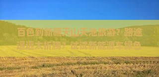 百色到新疆天山天池旅游？路途遥远太折腾？试试新能源车绿色出行！