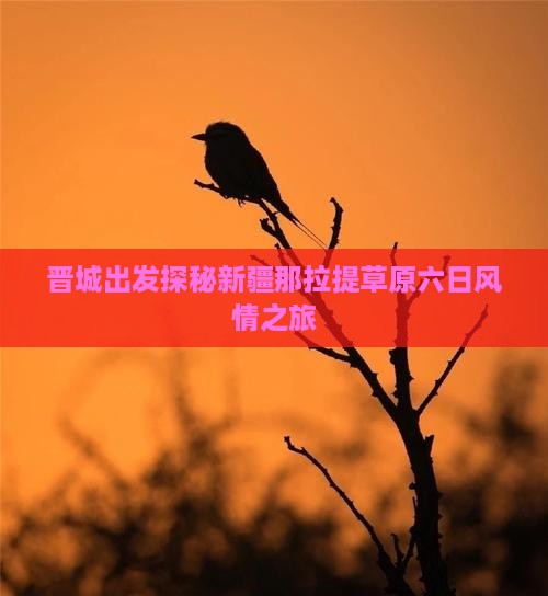 晋城出发探秘新疆那拉提草原六日风情之旅
