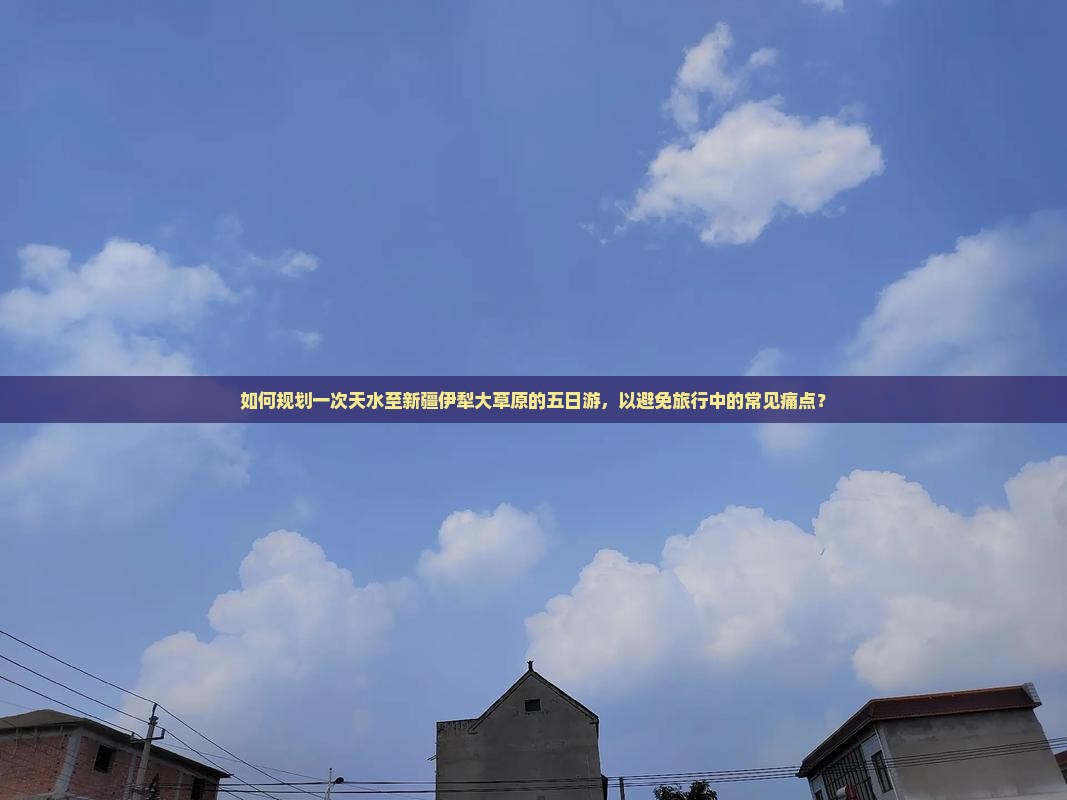 如何规划一次天水至新疆伊犁大草原的五日游，以避免旅行中的常见痛点？