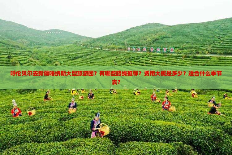 呼伦贝尔去新疆喀纳斯大型旅游团？有哪些路线推荐？费用大概是多少？适合什么季节去？