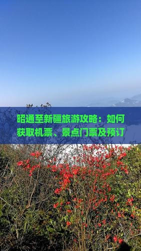 昭通至新疆旅游攻略：如何获取机票、景点门票及预订指南？