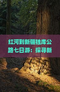 红河到新疆独库公路七日游：探寻新疆红河之美