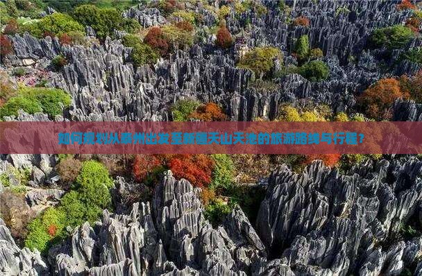 如何规划从泰州出发至新疆天山天池的旅游路线与行程？