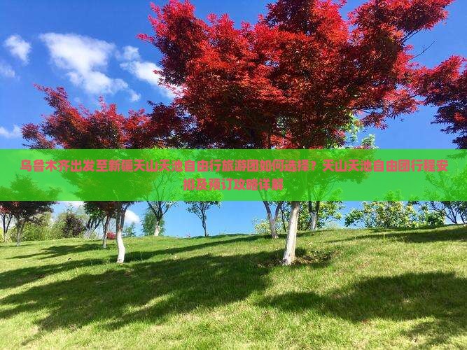 乌鲁木齐出发至新疆天山天池自由行旅游团如何选择？天山天池自由团行程安排及预订攻略详解