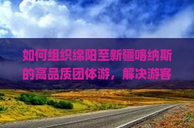 如何组织绵阳至新疆喀纳斯的高品质团体游，解决游客同行痛点，融入热门旅游新体验？