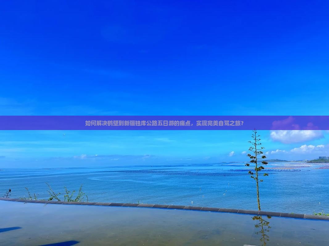 如何解决鹤壁到新疆独库公路五日游的痛点，实现完美自驾之旅？