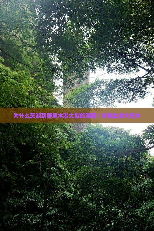 为什么芜湖到赛里木湖大型旅游团？新疆出游火热中