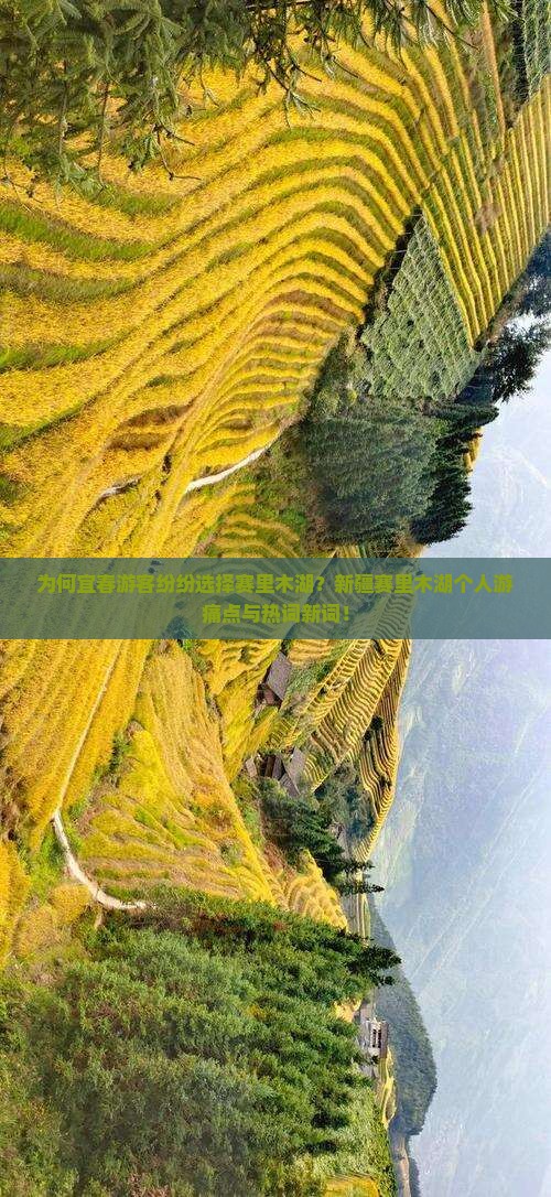 为何宜春游客纷纷选择赛里木湖？新疆赛里木湖个人游痛点与热词新词！