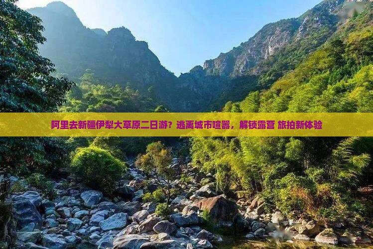 阿里去新疆伊犁大草原二日游？逃离城市喧嚣，解锁露营+旅拍新体验