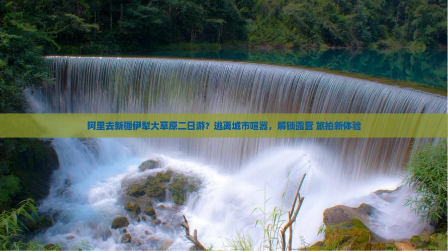 阿里去新疆伊犁大草原二日游？逃离城市喧嚣，解锁露营+旅拍新体验
