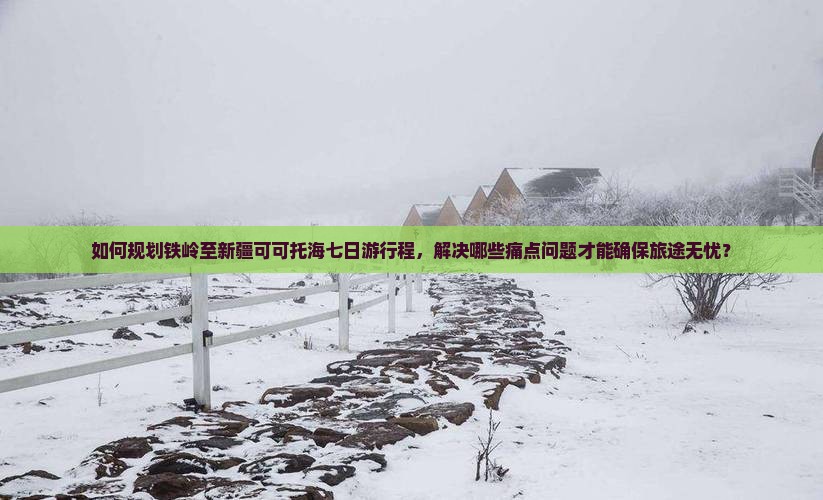 如何规划铁岭至新疆可可托海七日游行程，解决哪些痛点问题才能确保旅途无忧？
