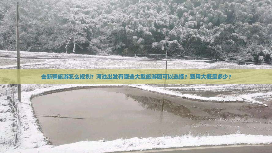 去新疆旅游怎么规划？河池出发有哪些大型旅游团可以选择？费用大概是多少？