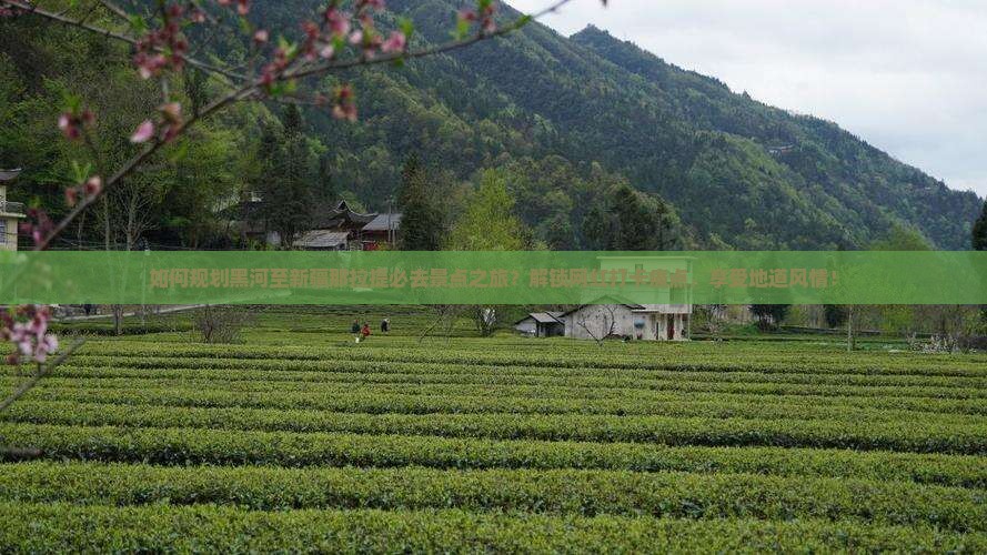 如何规划黑河至新疆那拉提必去景点之旅？解锁网红打卡痛点，享受地道风情！