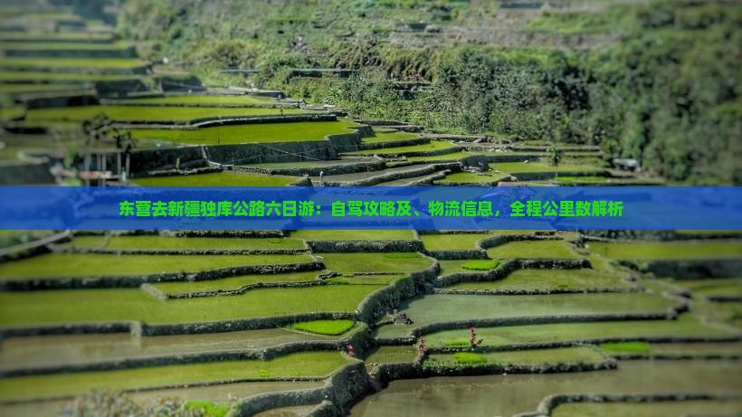 东营去新疆独库公路六日游：自驾攻略及、物流信息，全程公里数解析