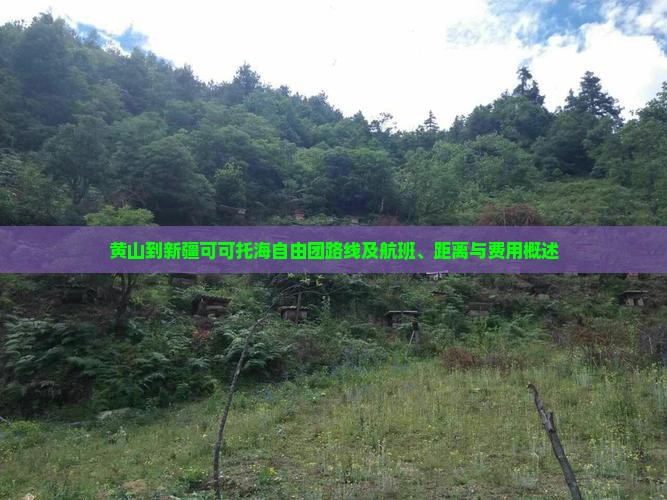 黄山到新疆可可托海自由团路线及航班、距离与费用概述