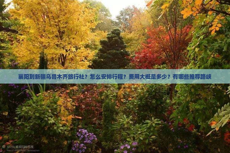 襄阳到新疆乌鲁木齐旅行社？怎么安排行程？费用大概是多少？有哪些推荐路峡
