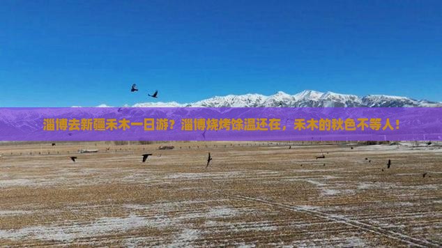 淄博去新疆禾木一日游？淄博烧烤馀温还在，禾木的秋色不等人！