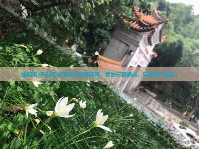 如何用7天时间从海拉尔畅游新疆，解决行程痛点，玩转热门景点？