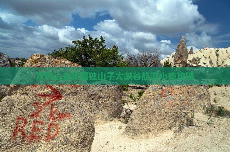 双鸭山去新疆独山子大峡谷旅游小吃攻略