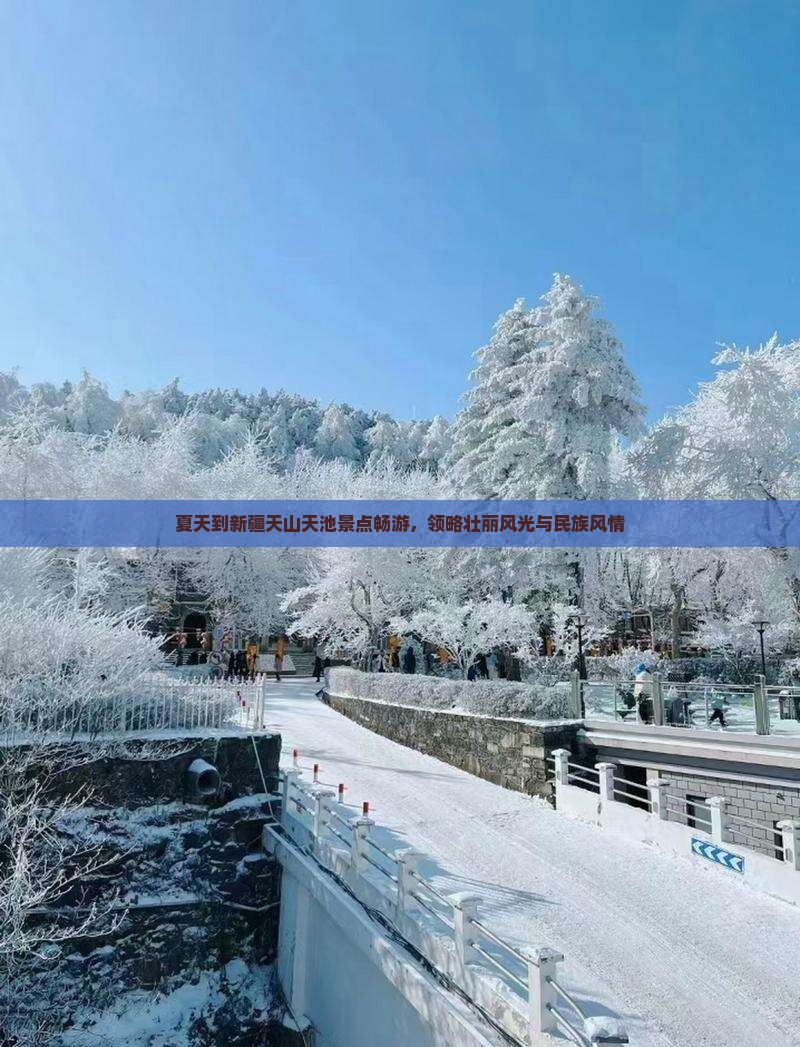 夏天到新疆天山天池景点畅游，领略壮丽风光与民族风情