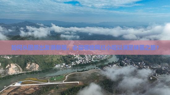 如何从固原出发游新疆，必尝哪些网红小吃以满足味蕾之旅？